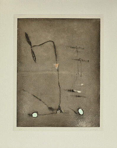 Riera i Arago' Josep. M.: Sierie Gris. Auquatinta 
(Ex. 15/79)
75cm mal 56cm 
1993