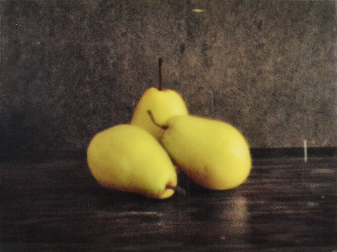 Barbara Regner: 3 Birnen. Farbfotografie /Lochkamera 
30cm mal 40cm 
o.J. (2005)